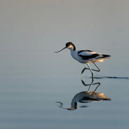 Appartement Cosher - Gardenia Palace 9 Free Parking Pomorie