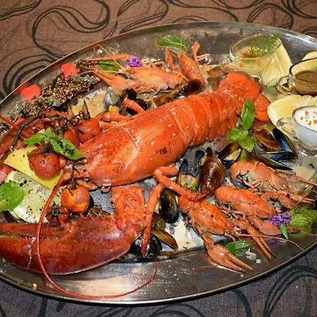 Cosher - Gardenia Palace 9 Free Parking Appartement Pomorie